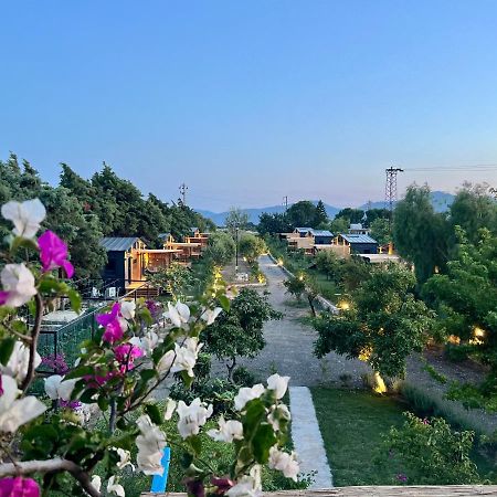 Tiny Datca Hotel Exterior photo