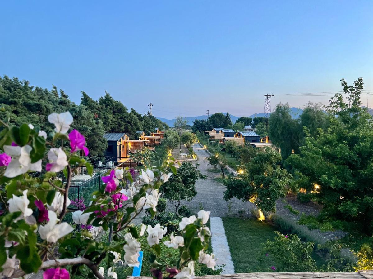 Tiny Datca Hotel Exterior photo